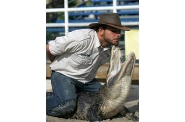 gatorland4