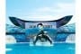 seaworld1